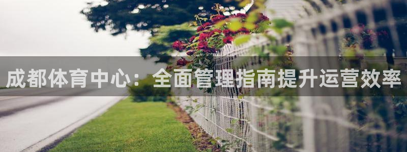 b体育必一运动网页版