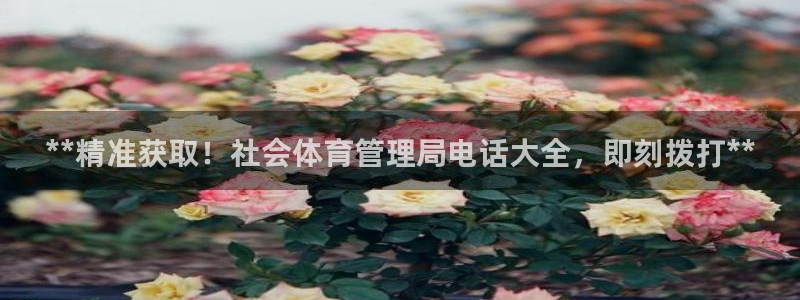 氵必一一厂一：**精