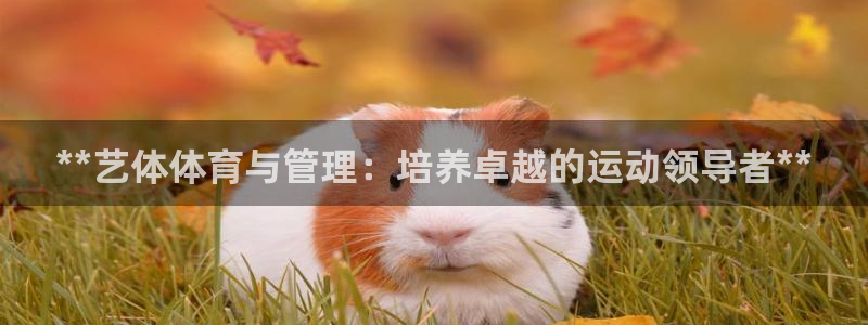 必一体育app下载最