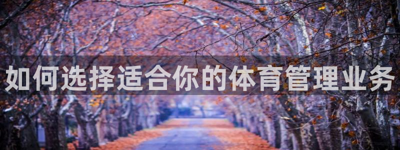 必一体育bsport