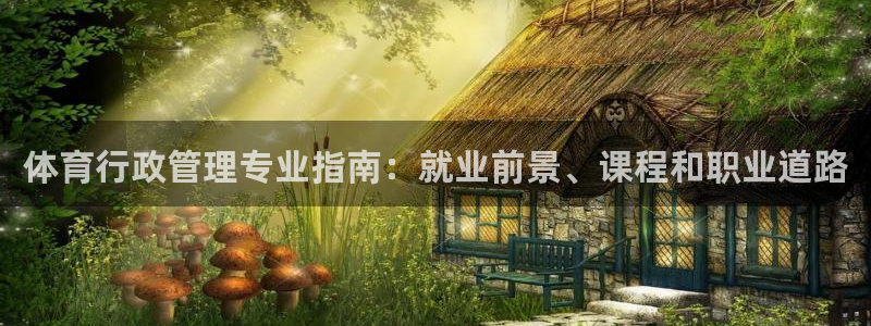 必一体育运动app下