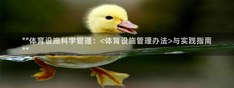 必一体育app下载装