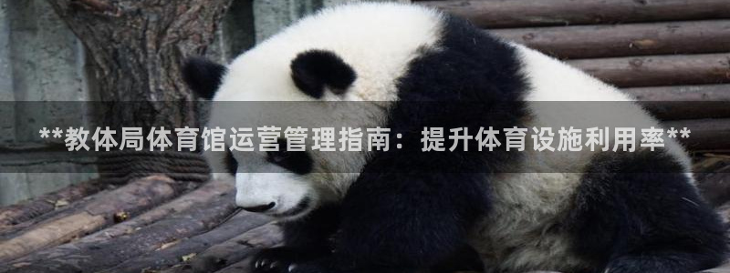 必一体育app下载：