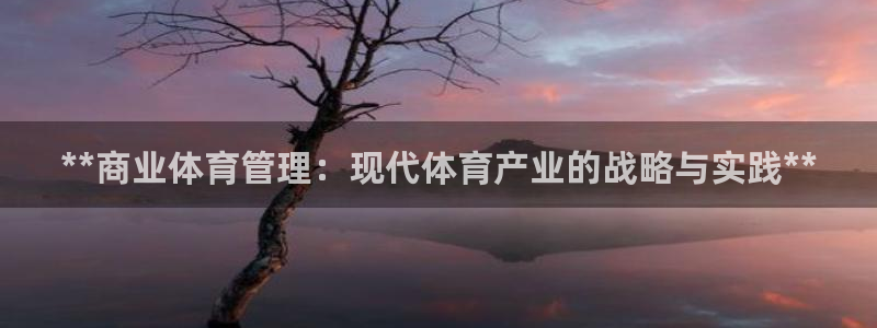 必一体育网页版登录：