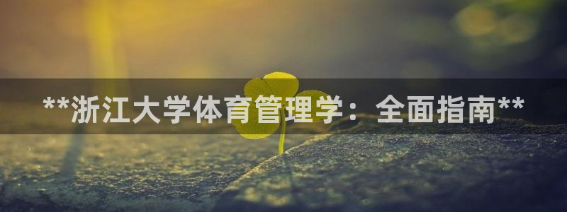 必一体育游戏玩法：*