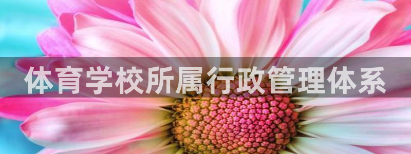 必一体育sport官