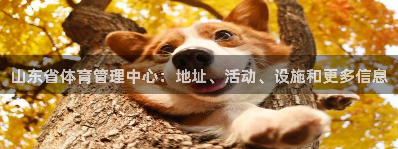 必一运动·(b-sp
