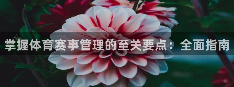 必一运动短信：掌握体