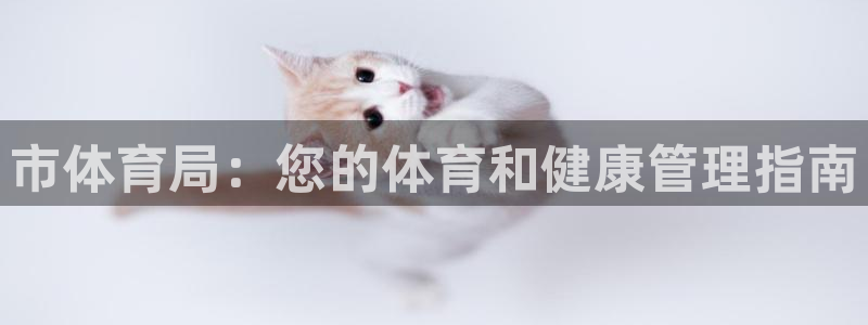 必一体育全站在线登录