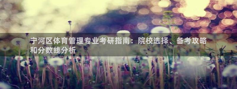 必一体育在哪下：宁河