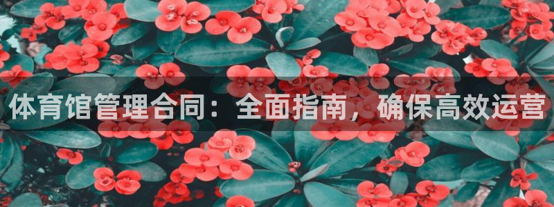 必一运动官网登录入口