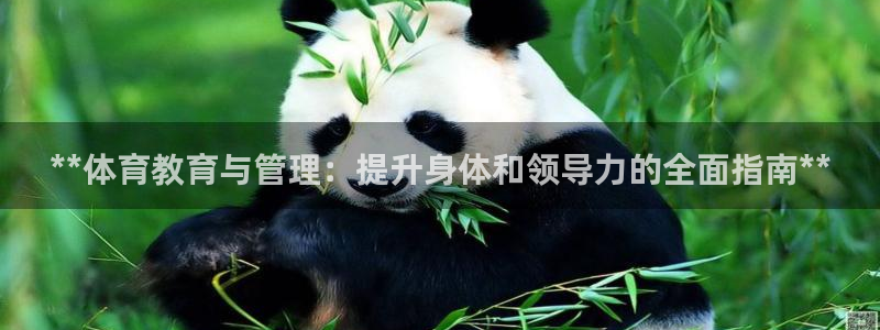 必一体育APP下载安