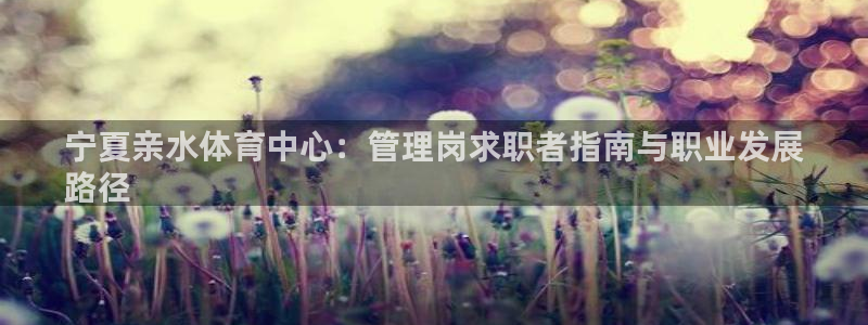 必一体育是哪里的台子