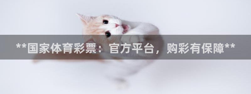 必一运动体育官网下载