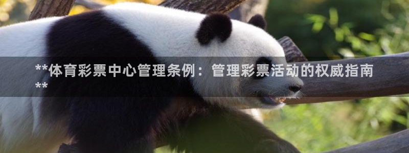 必一体育sport官