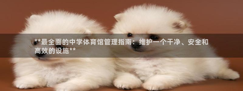 必一体育app下载：