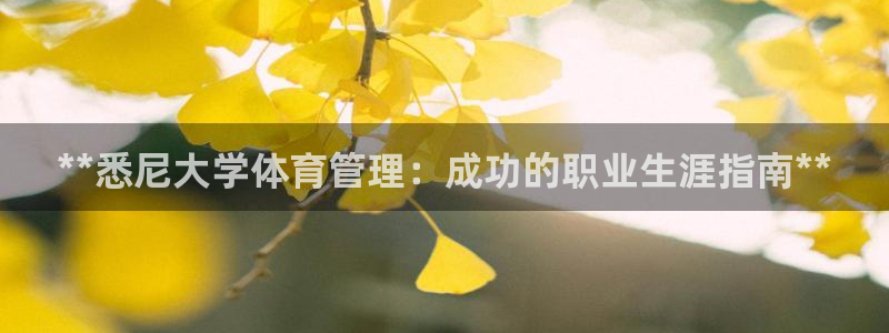 必一体育官网网站：*