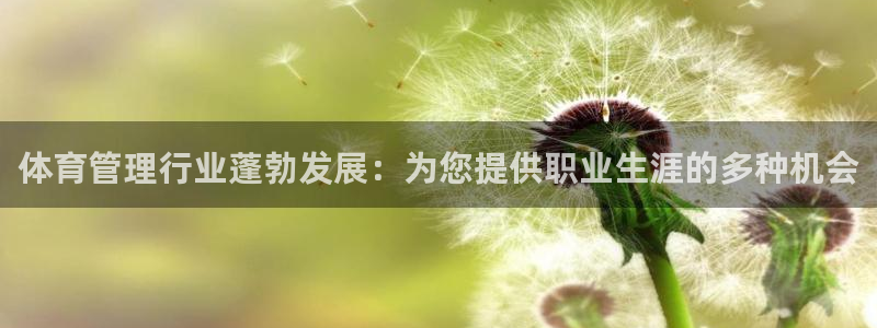 必一体育app官方下
