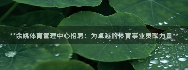 必一体育sport网