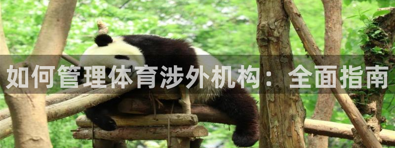 必一体育官网app：
