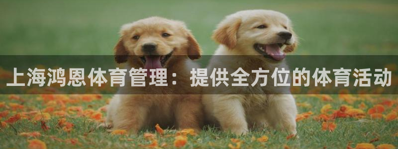 必一体育app官方正