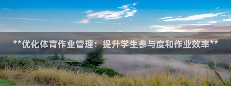 必一体育sport官
