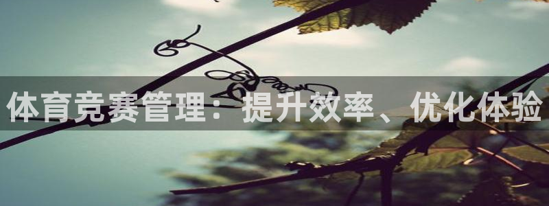 必一运动B-Spor