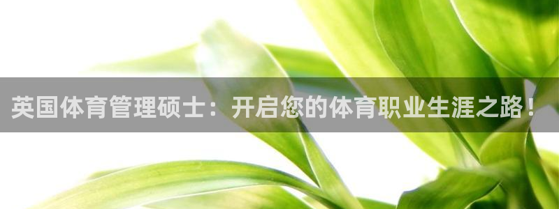 必一运动sport爱