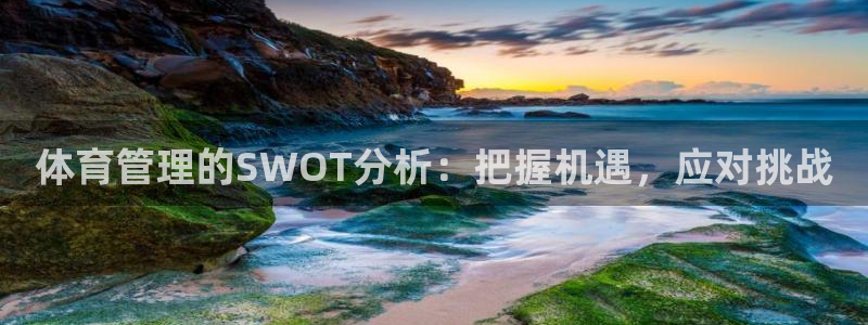 必一体育sportB