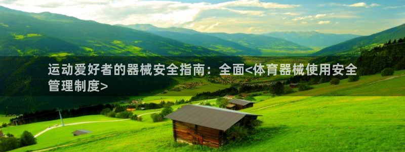 必一体育在线玩：运动
