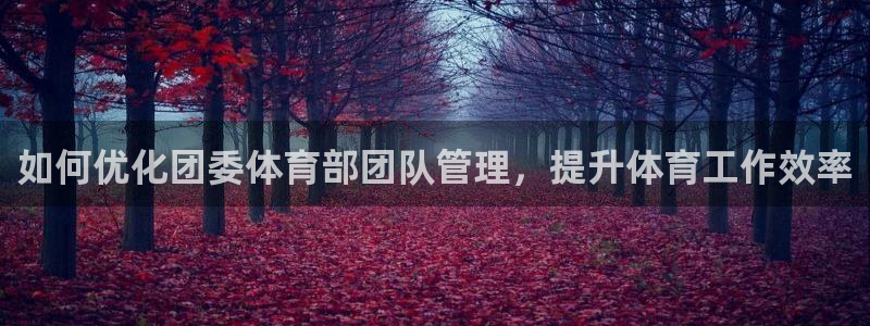 必一体育app平台下