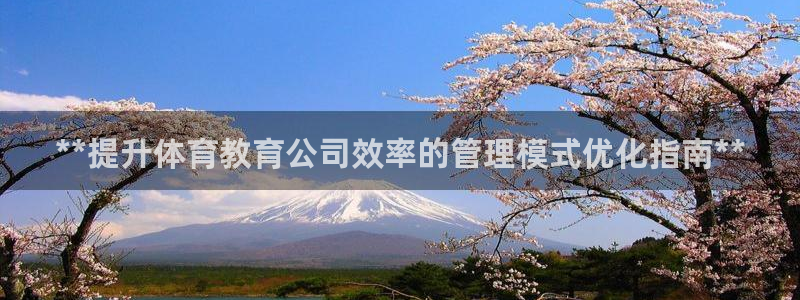 必一体育电子app：