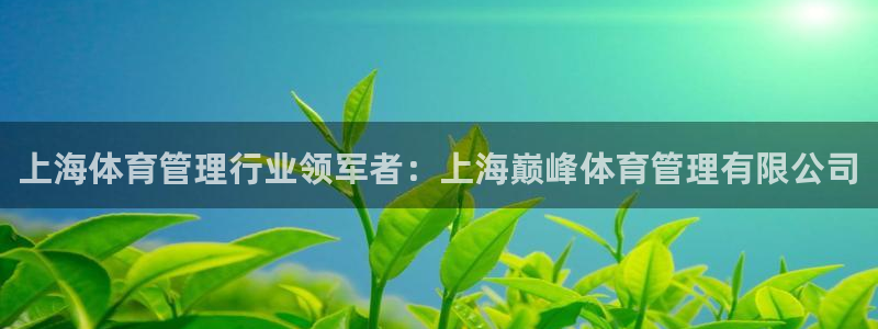 必一体育运动下载：上