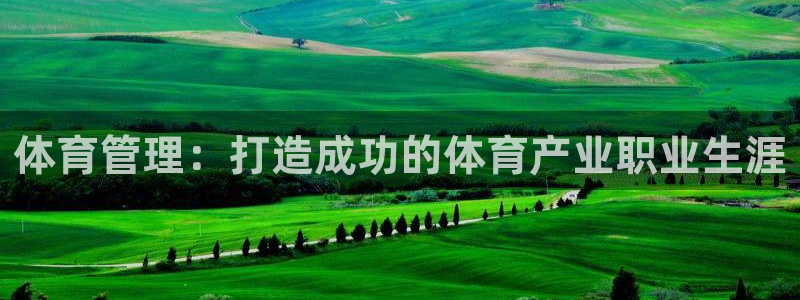 必一体育运动app下