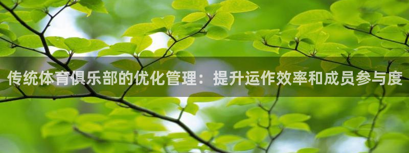 必一体育黑钱：传统体