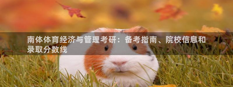 必一体育网址：南体体
