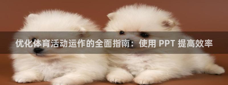 必一运动体育：优化体