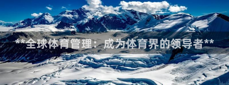 必一体育官网入口：*