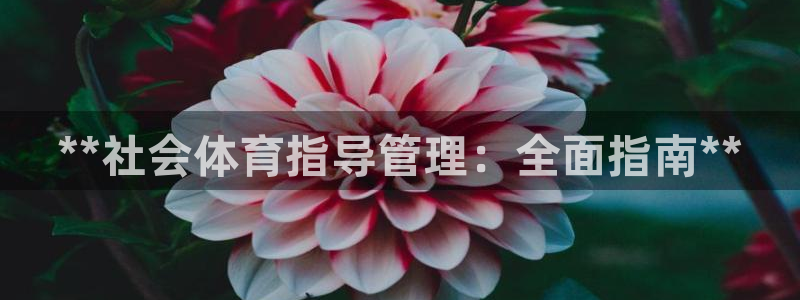 必一体育sport：