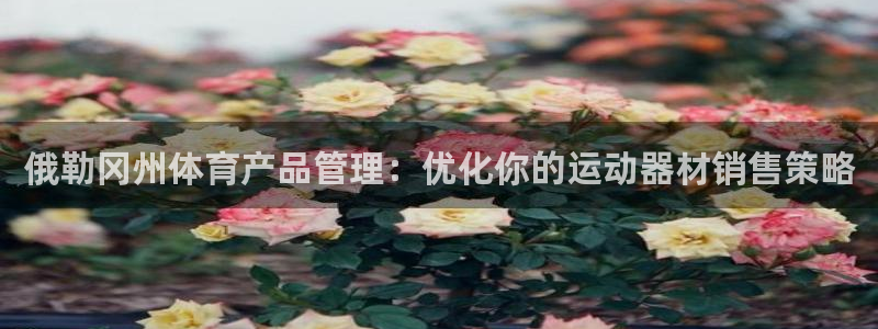 必一体育运动平台官网