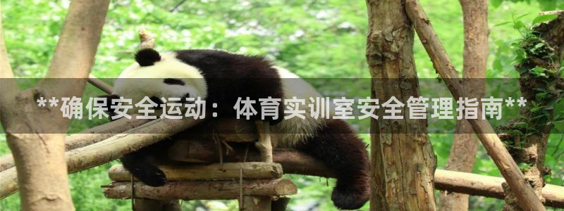 必一体育登录入口AP