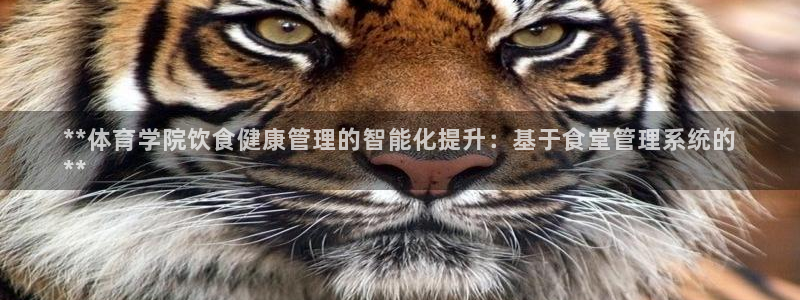 必一体育怎么下载：*