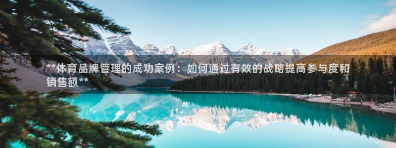 必一体育登录APP下