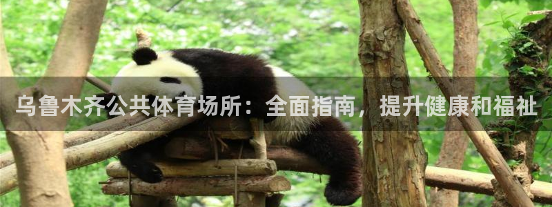 必一体育下载一样吗：