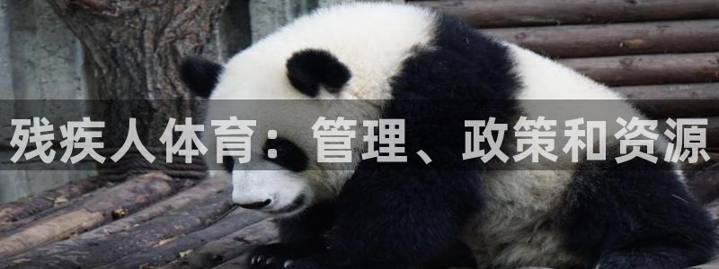 必一运动·体育：残疾