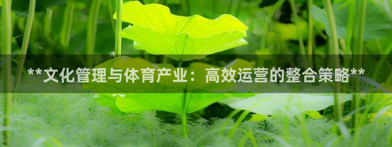 必一体育登陆：**文