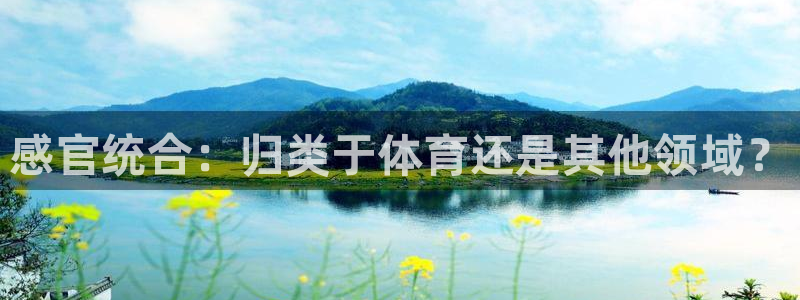 必一体育sport网