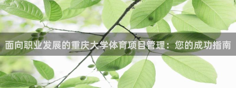 必一体育APP下载安