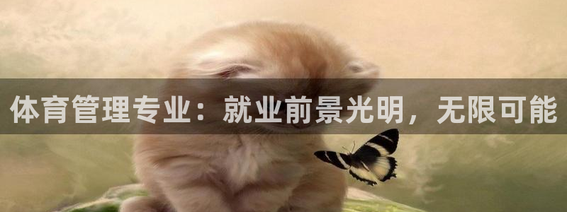 必一体育登录APP下