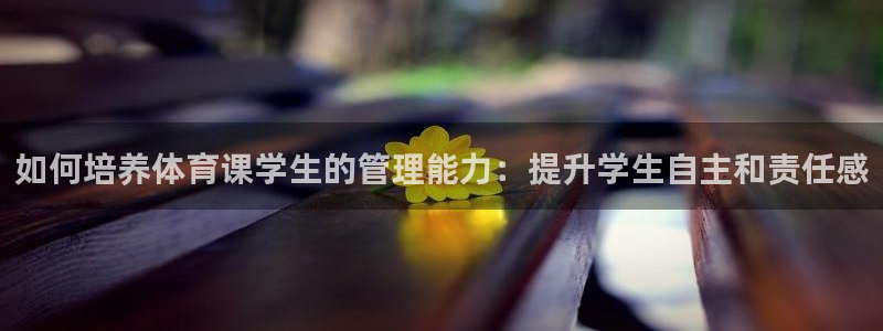 必一体育bsport